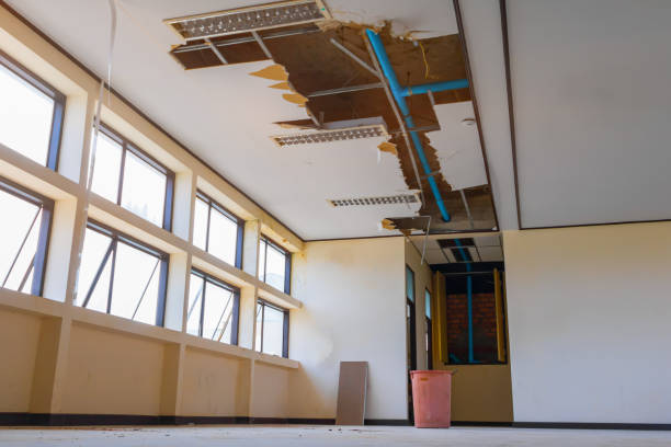 Best Water damage restoration near me  in Avon, MN