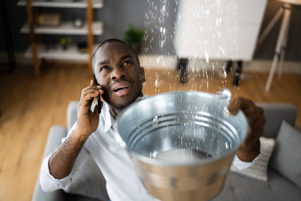 Best Emergency water damage restoration  in Avon, MN