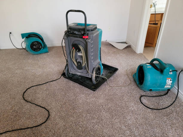 Best 24-hour water damage restoration  in Avon, MN