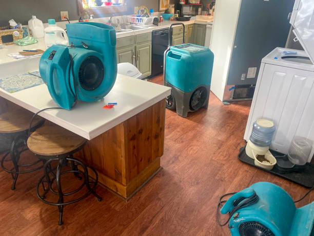  Avon, MN Water damage restoration Pros