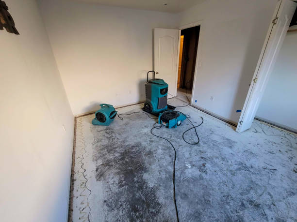 Best 24/7 water damage repair  in Avon, MN