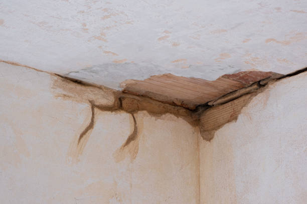 Best Basement water damage restoration  in Avon, MN