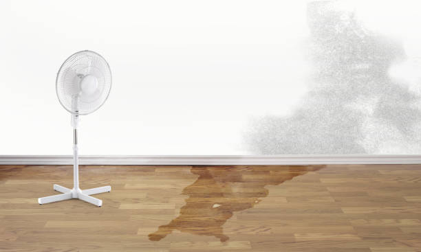Water damage restoration process in Avon, MN
