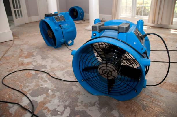 Best Flood damage cleanup  in Avon, MN