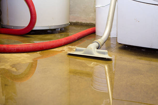 Best Water damage restoration insurance claims  in Avon, MN