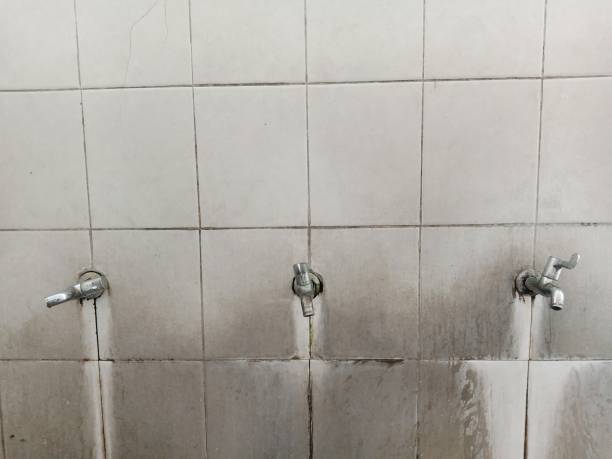 Best Water damage contractors near me  in Avon, MN