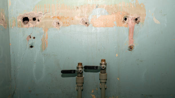 Best Emergency water damage restoration  in Avon, MN