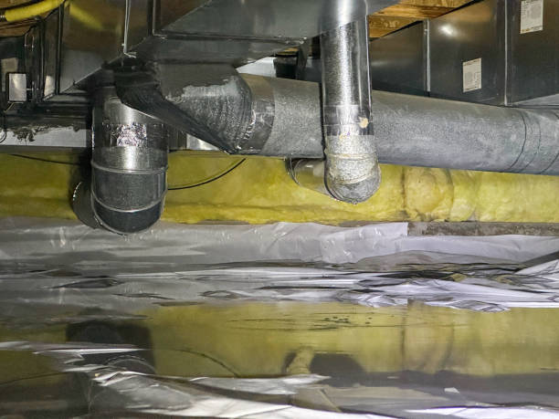 Best Mold removal after water damage  in Avon, MN