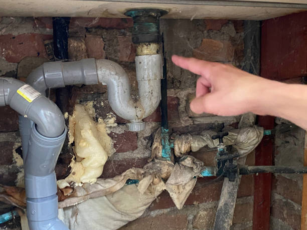 Best Water damage restoration process  in Avon, MN