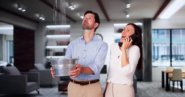 Best Flood restoration services  in Avon, MN