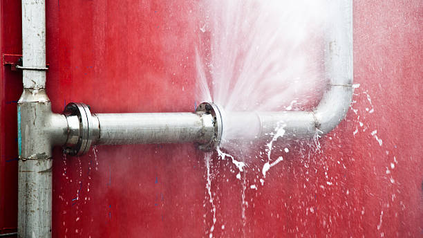 Best Commercial water damage restoration  in Avon, MN