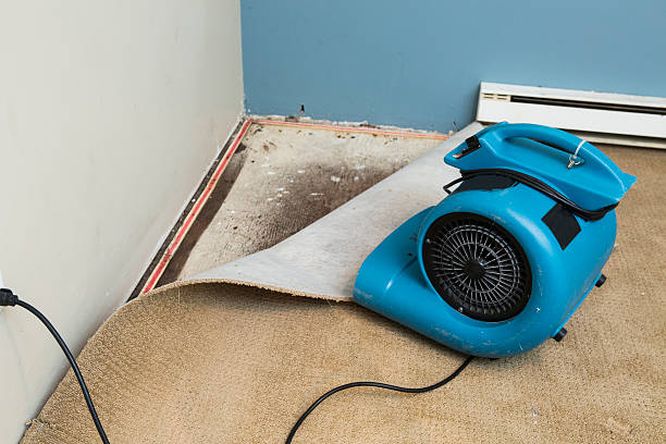Best Water damage restoration company  in Avon, MN